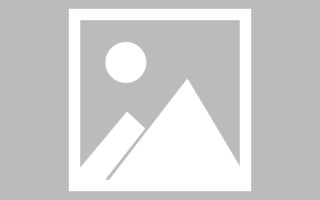 鹿邑信息系统网页设计（信息系统网页设计主要包括）